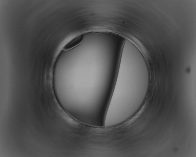 X0000096701196200802121156