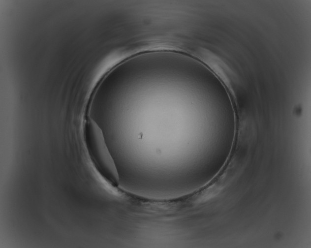X0000096701197200802121156