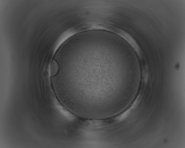 X0000096701198200802121155