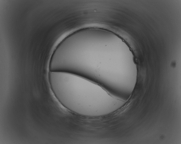 X0000096701199200802121155