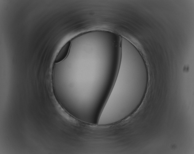 X0000096701200200802121155