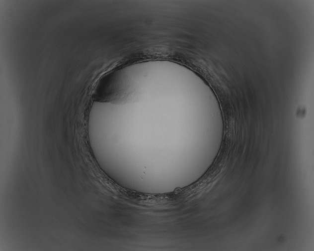 X0000096701201200802121155