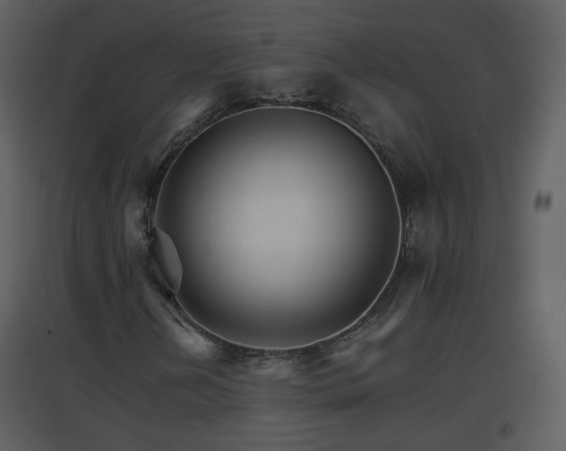 X0000096701202200802121155