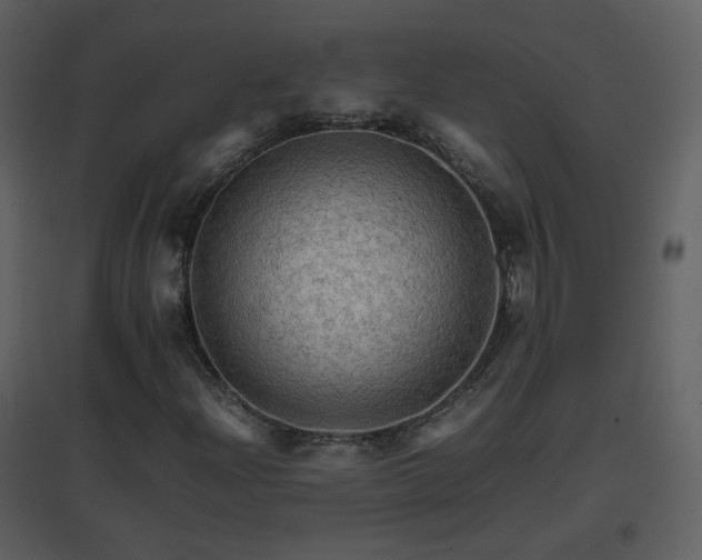 X0000096701204200802121155