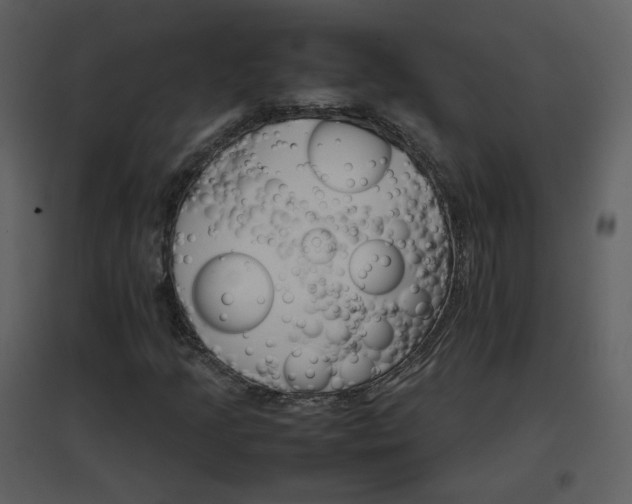 X0000096701205200802121155