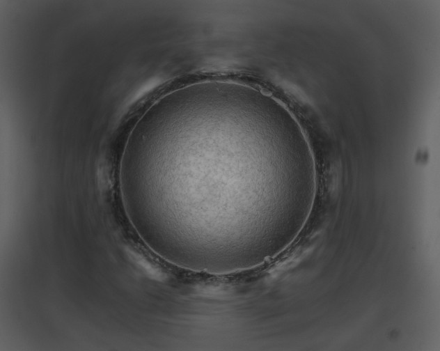 X0000096701206200802121155
