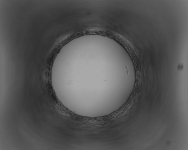 X0000096701207200802121155