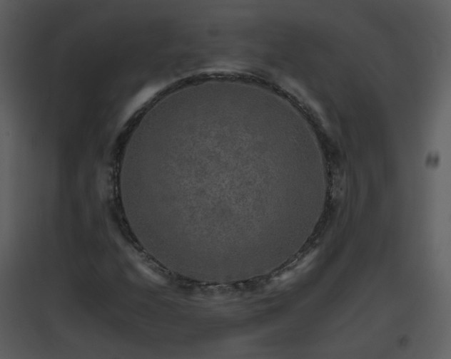 X0000096701208200802121155