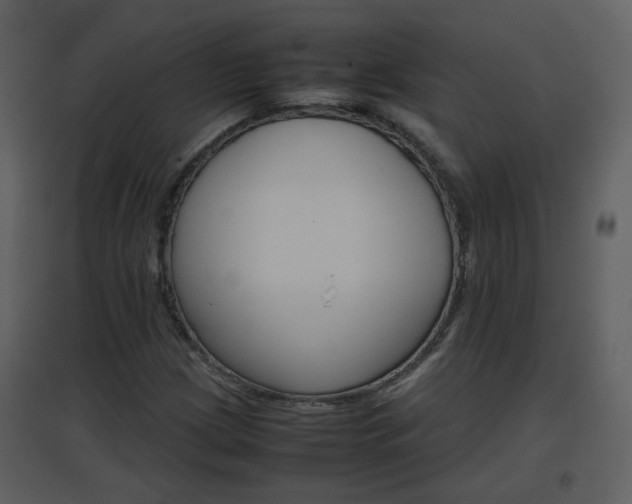 X0000096701209200802121155