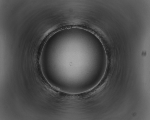 X0000096701210200802121155