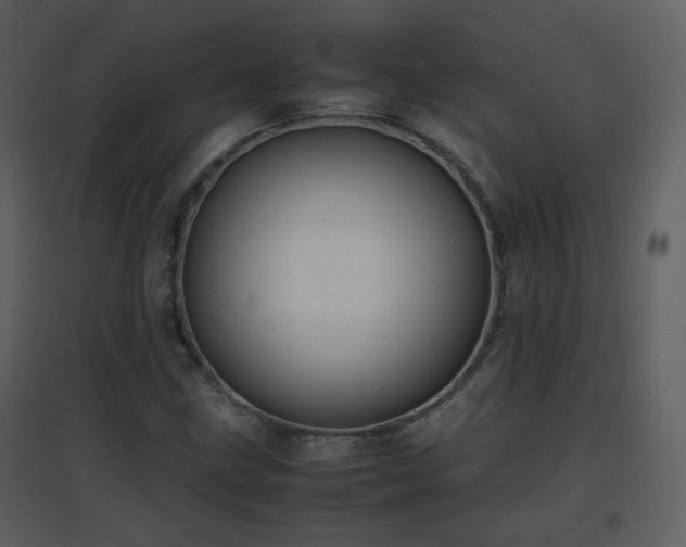 X0000096701211200802121155