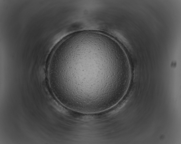 X0000096701212200802121155