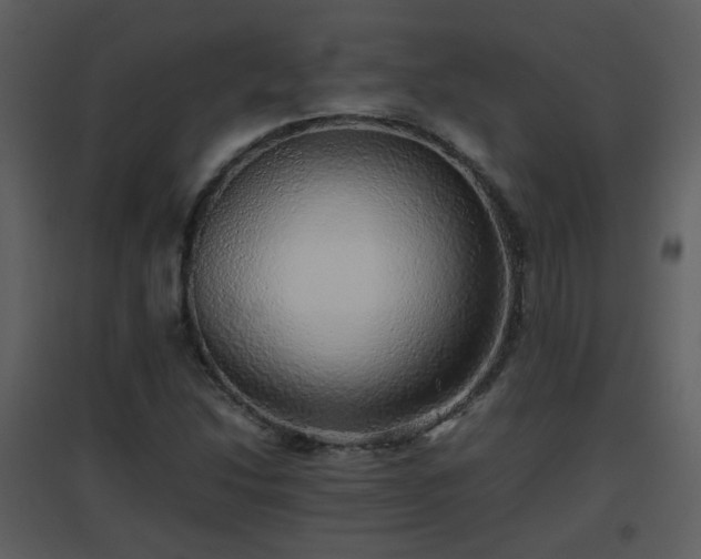 X0000096701214200802121155