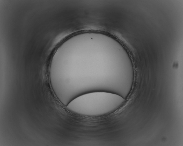 X0000096701215200802121155
