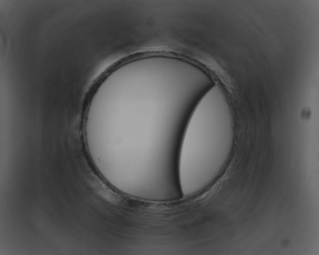 X0000096701216200802121155