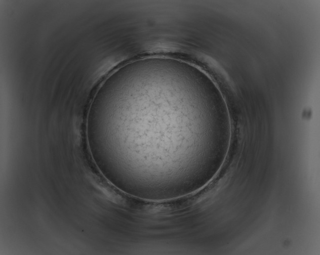 X0000096701217200802121155