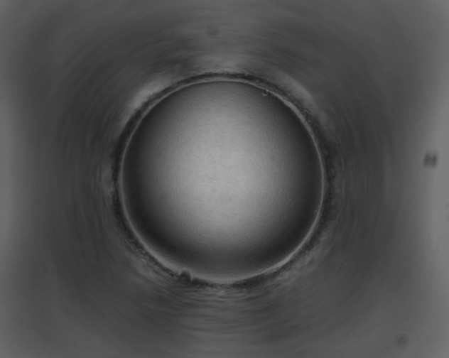 X0000096701218200802121155