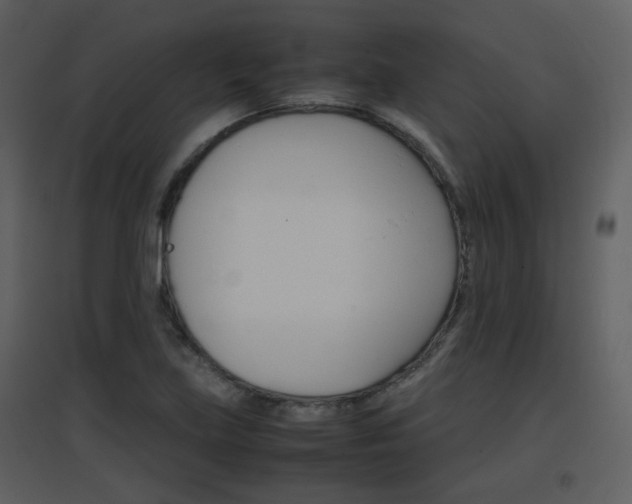 X0000096701219200802121155