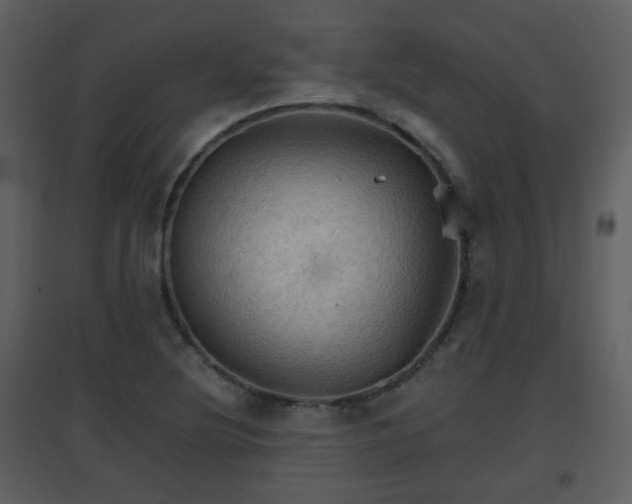X0000096701220200802121155