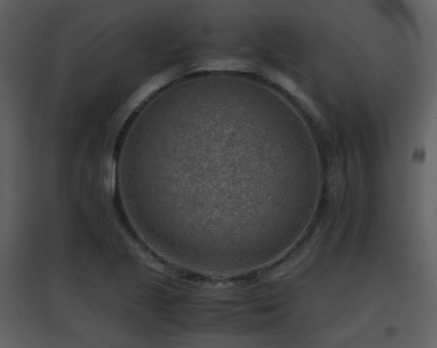 X0000096701221200802121155