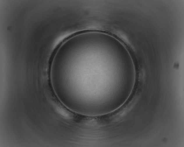 X0000096701222200802121155