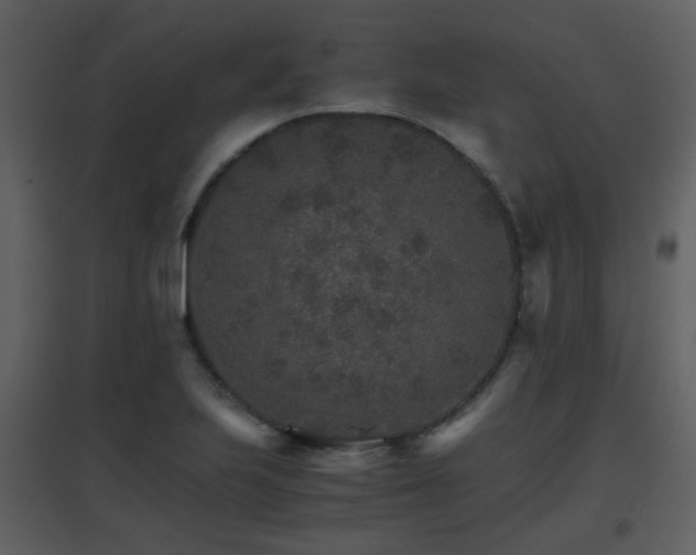 X0000096701223200802121155
