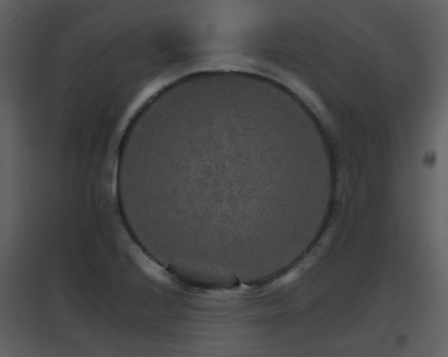 X0000096701224200802121155