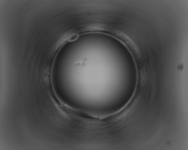 X0000096701225200802121155