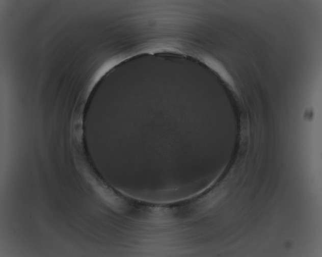 X0000096701226200802121155
