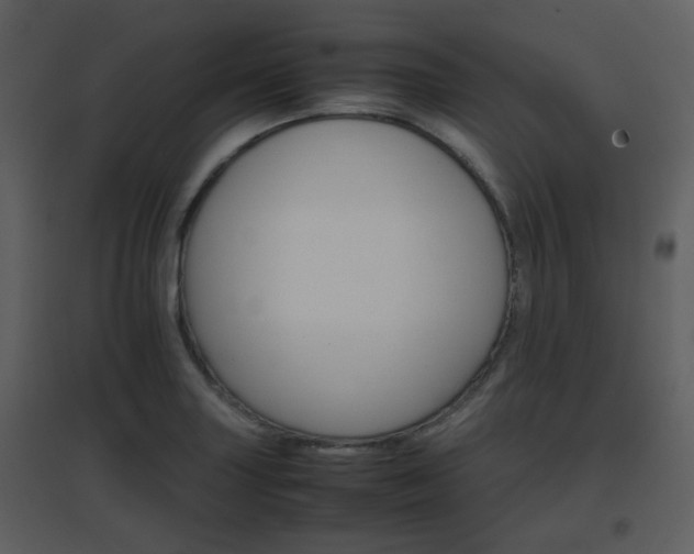 X0000096701227200802121155