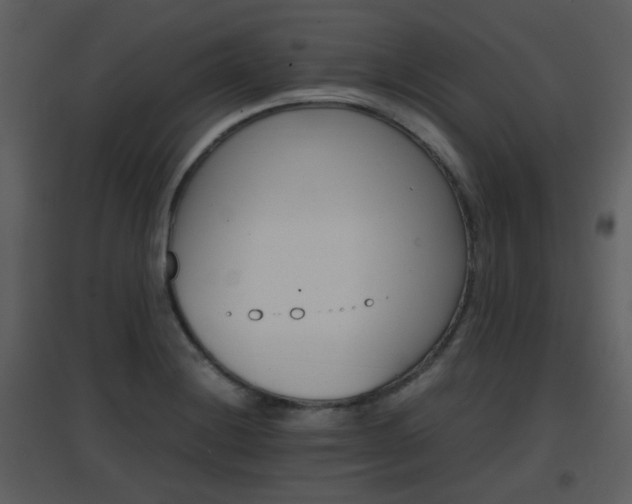 X0000096701228200802121155