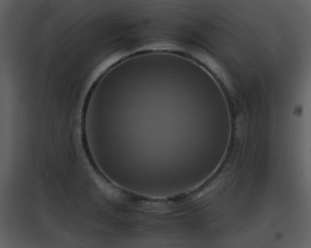 X0000096701229200802121155