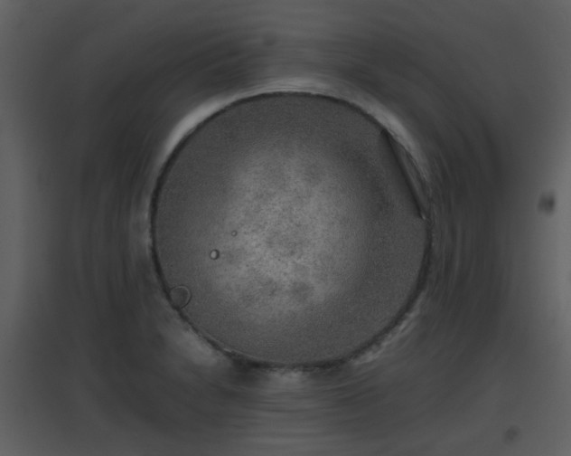 X0000096701230200802121155
