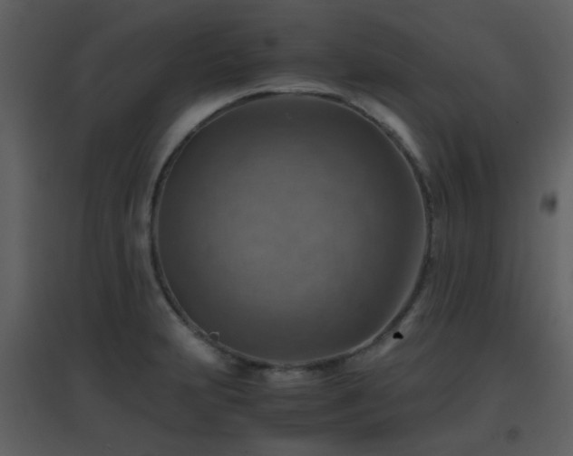 X0000096701231200802121155