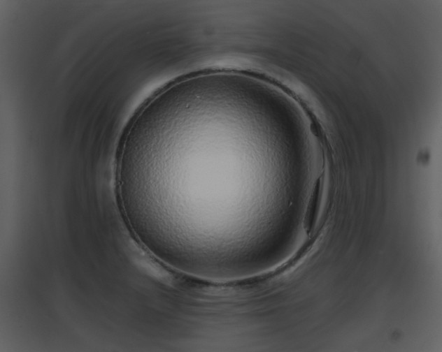 X0000096701232200802121155