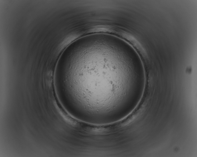 X0000096701233200802121155
