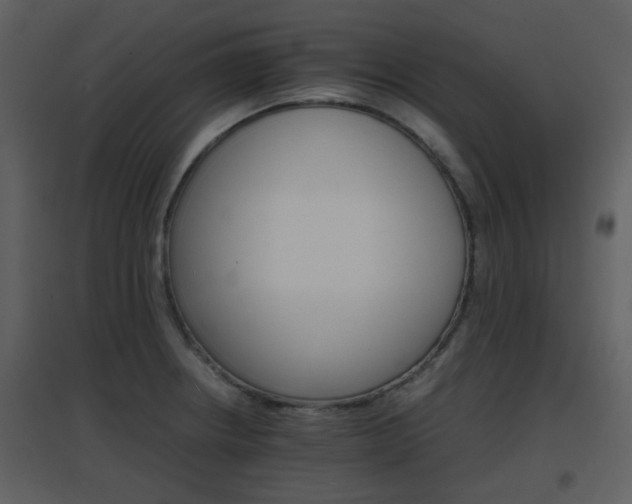 X0000096701234200802121155
