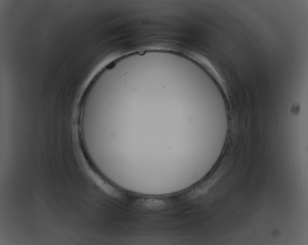 X0000096701235200802121155