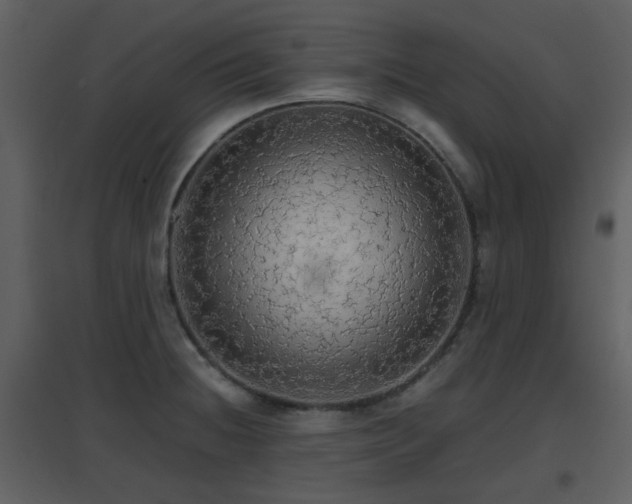 X0000096701236200802121155