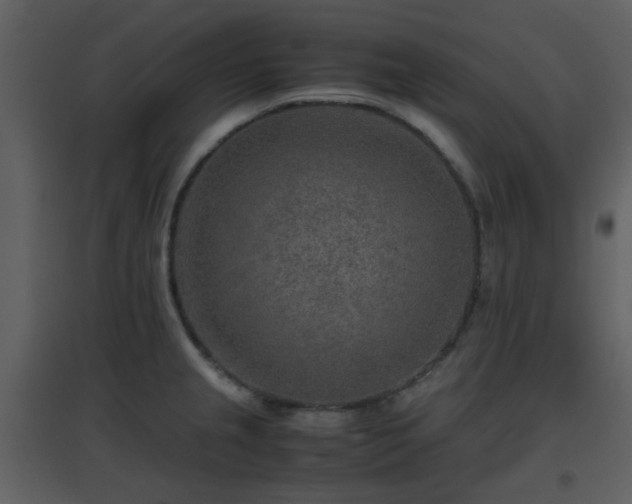 X0000096701237200802121155