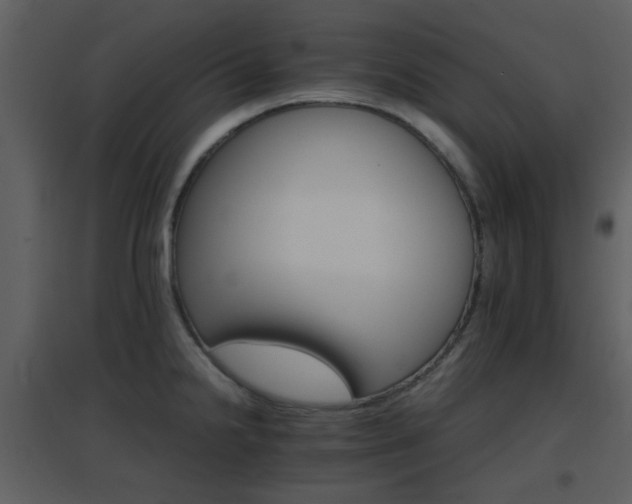 X0000096701238200802121155