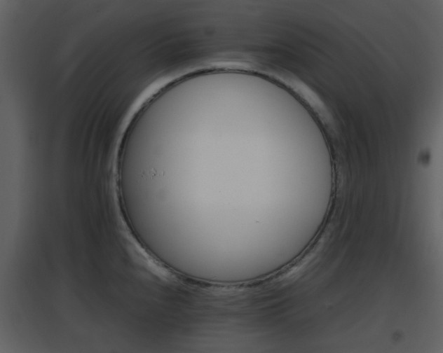 X0000096701240200802121155