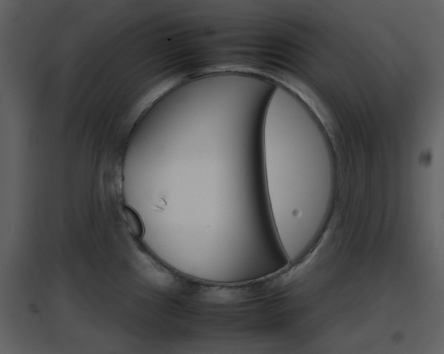 X0000096701241200802121155