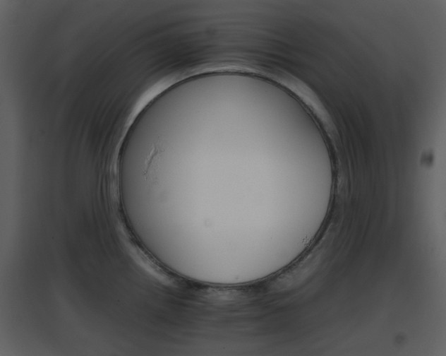 X0000096701242200802121155