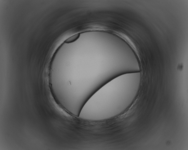 X0000096701243200802121155