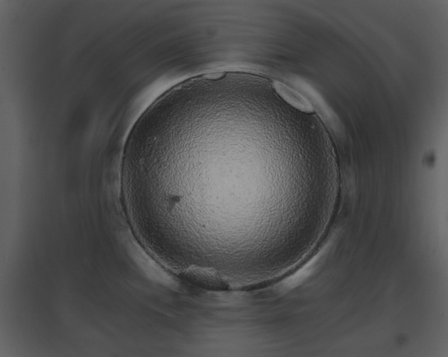 X0000096701244200802121155