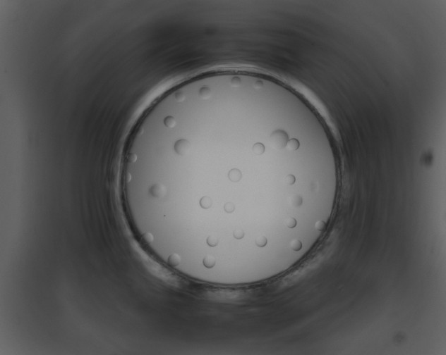 X0000096701245200802121155