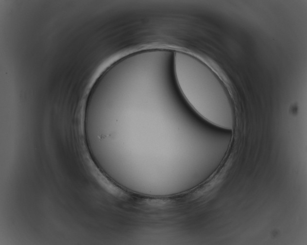 X0000096701246200802121155