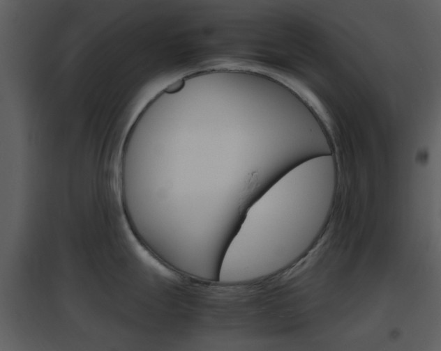 X0000096701247200802121155