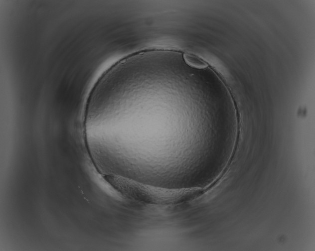 X0000096701248200802121155